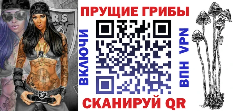 Купить где  Демидов  Галлюциногенные грибы GOLDEN TEACHER 